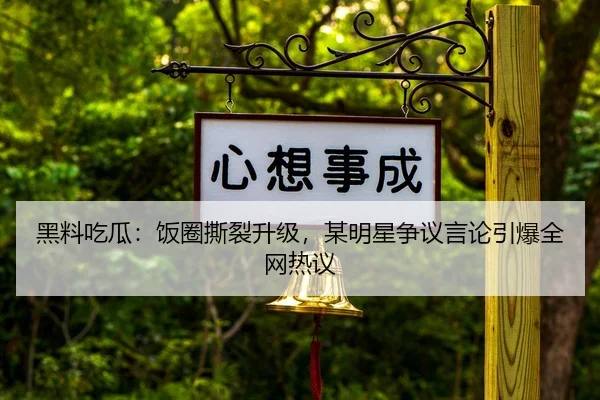 黑料吃瓜：饭圈撕裂升级，某明星争议言论引爆全网热议